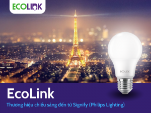EcoLink Lighting