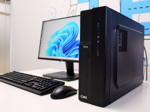 Máy tính để bàn CMS X-Pro Slim XPQ3K-B86